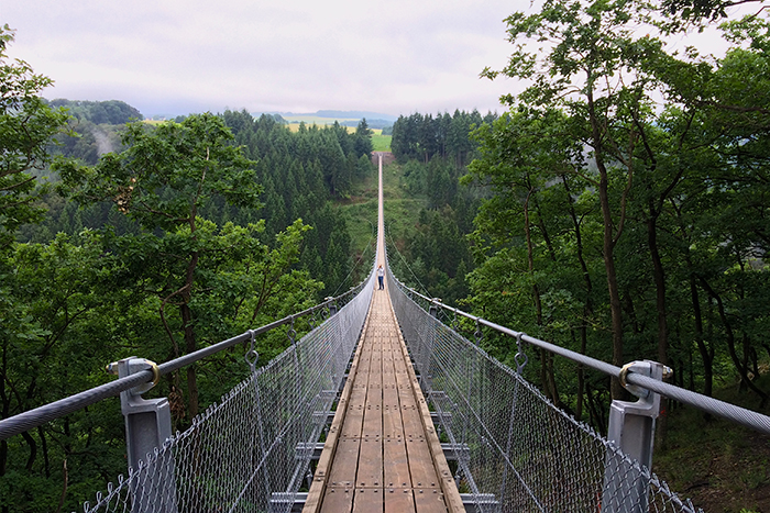 a suspension bridge going through a wooded area